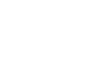 AI HSE