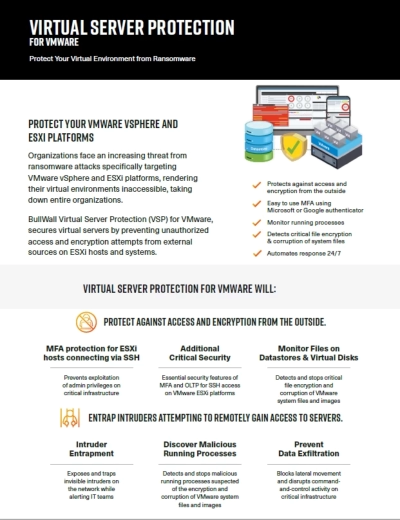 flyer that explain the virtual server protection